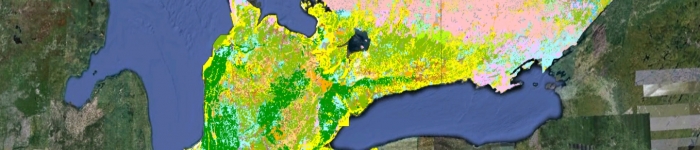 Surficial Geology